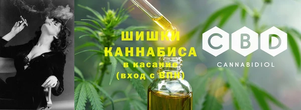 PSILOCYBIN Верхний Тагил