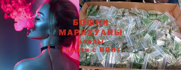 PSILOCYBIN Верхний Тагил