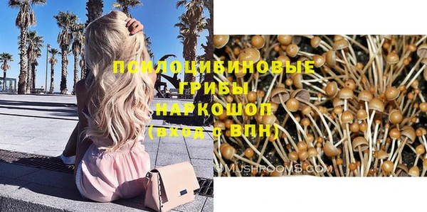 spice Волосово
