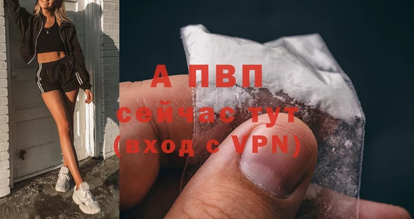 PSILOCYBIN Верхний Тагил