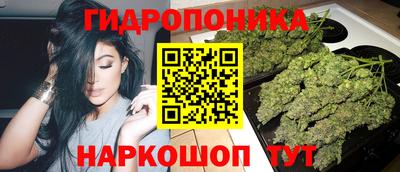 дживик Славгород