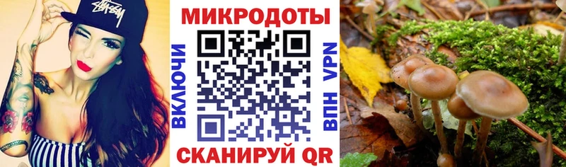 Псилоцибиновые грибы ЛСД  Рузаевка 