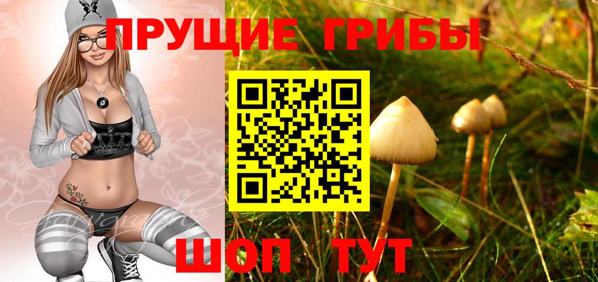 Рузаевка  Псилоцибиновые грибы Magic Shrooms  Вход с VPN 