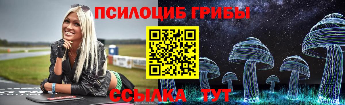 Галлюциногенные грибы мицелий Рузаевка
